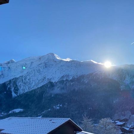 Vue Des "Chavants" Studio 20 M With Balcony レ・ズッシュ エクステリア 写真